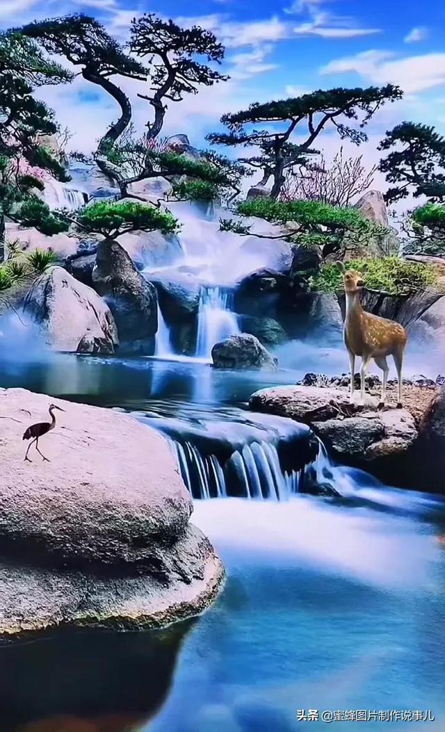 植物大战僵尸on满级多少-专业有问必答平台